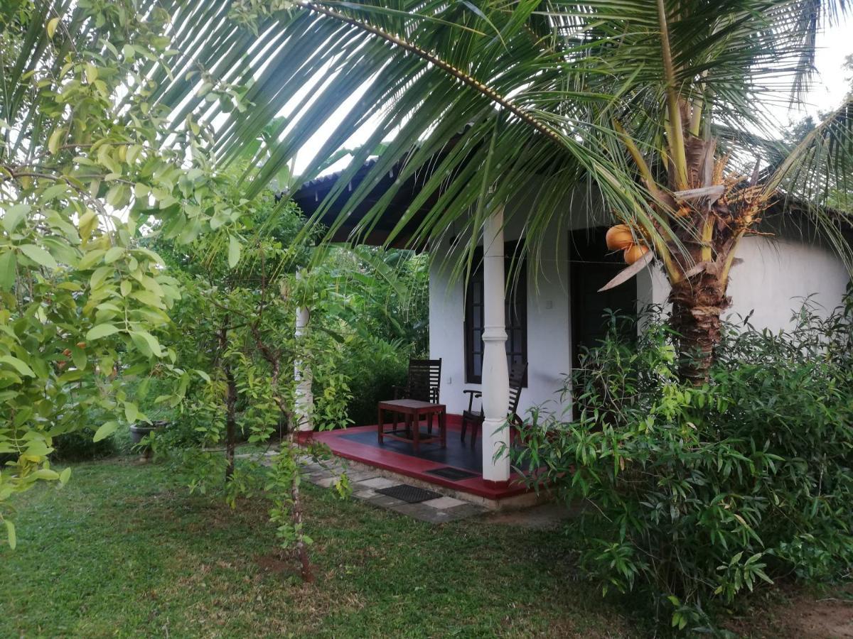 Bay Hill Guest House Tangalle Exterior foto