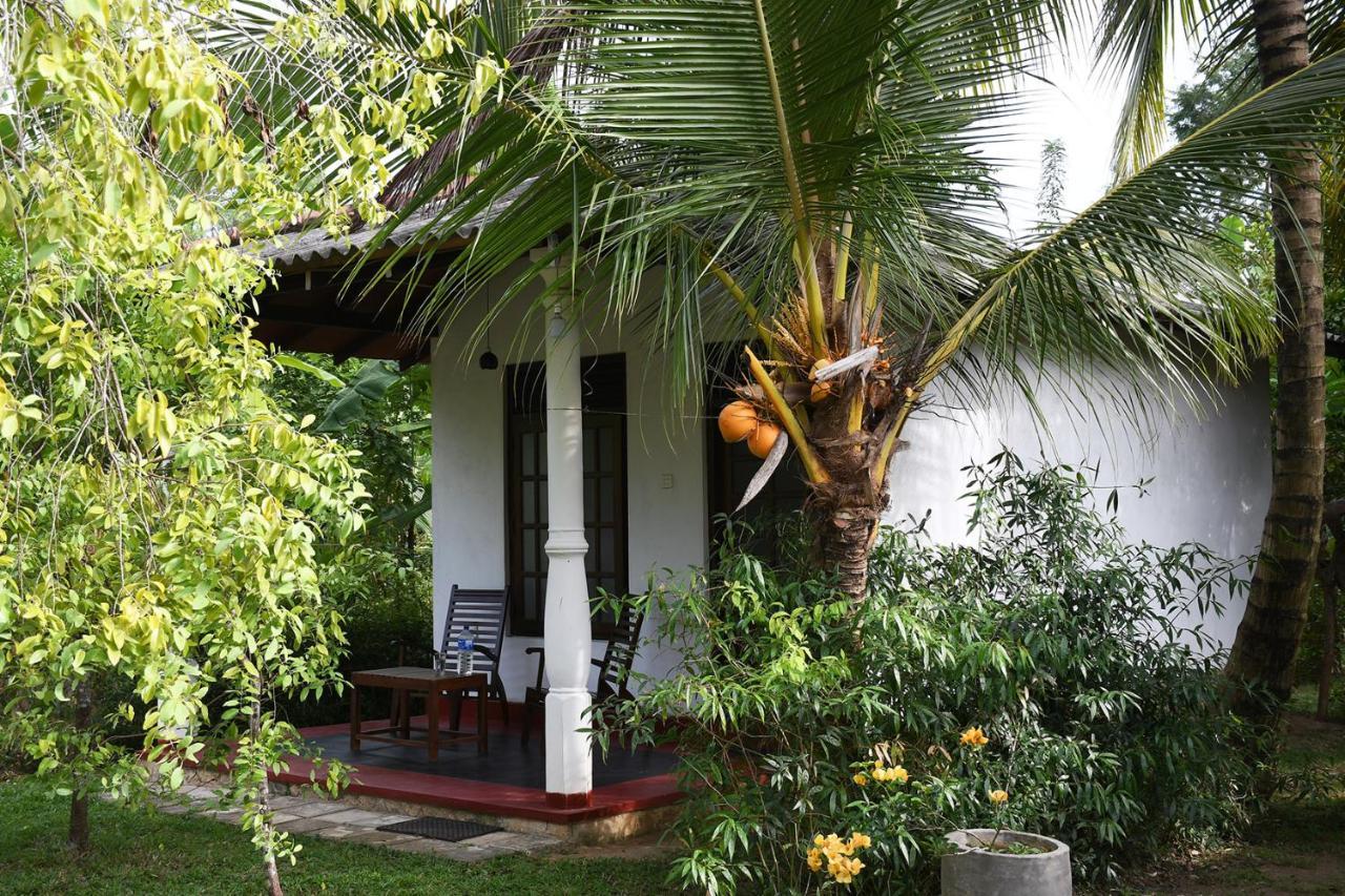 Bay Hill Guest House Tangalle Exterior foto