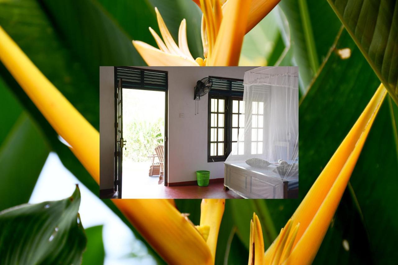 Bay Hill Guest House Tangalle Exterior foto